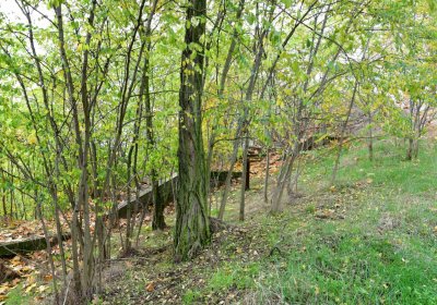 Přečaply, Omnium, 2020