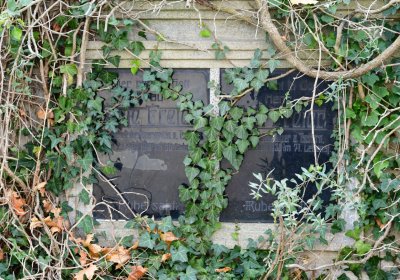 Přečaply, Omnium, 2020