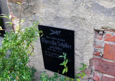 Přečaply, Omnium, 2020