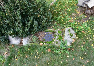 Přečaply, Omnium, 2020