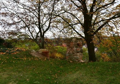 Přečaply, Omnium, 2020