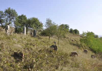 Sedláček Hugo, 2016