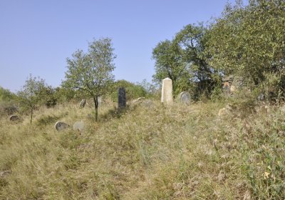 Sedláček Hugo, 2016