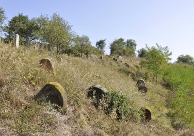 Sedláček Hugo, 2016