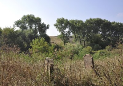 Sedláček Hugo, 2016