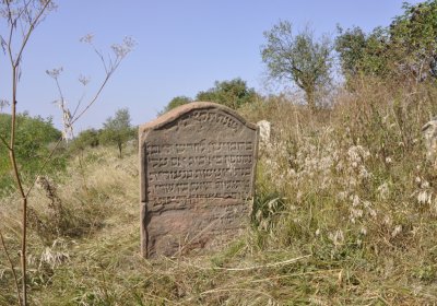 Sedláček Hugo, 2016