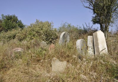 Sedláček Hugo, 2016