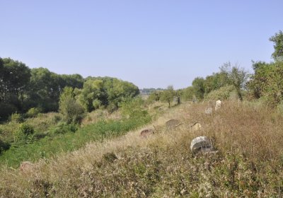 Sedláček Hugo, 2016