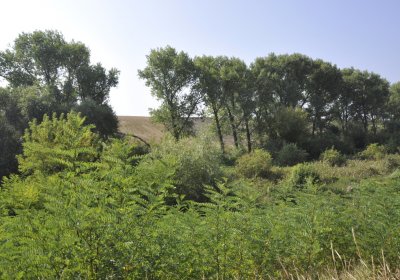 Sedláček Hugo, 2016