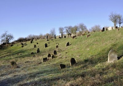 Sedláček Hugo, 2016