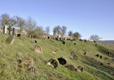 Sedláček Hugo, 2016