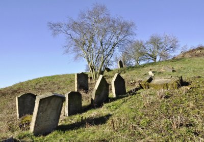 Sedláček Hugo, 2016