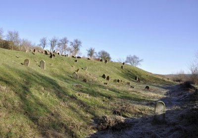 Sedláček Hugo, 2016