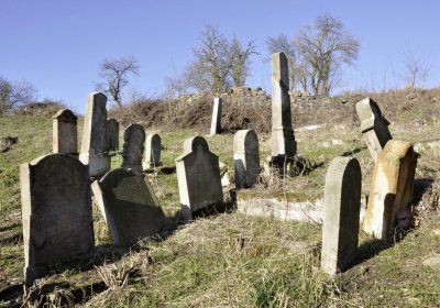 Sedláček Hugo, 2016