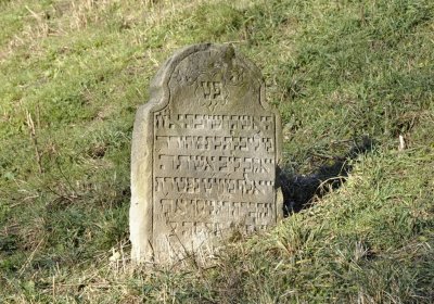 Sedláček Hugo, 2016