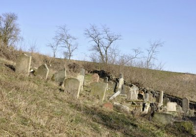 Sedláček Hugo, 2016