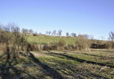 Sedláček Hugo, 2016