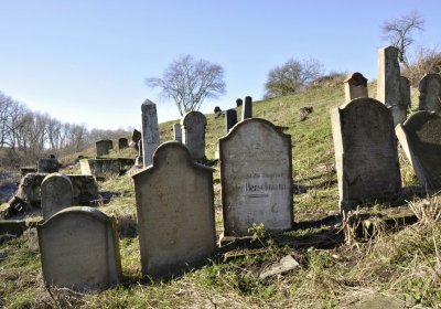 Sedláček Hugo, 2016