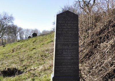 Sedláček Hugo, 2016