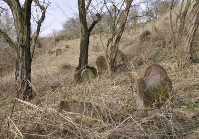 Sedláček Hugo, 2012