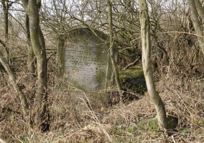 Sedláček Hugo, 2012