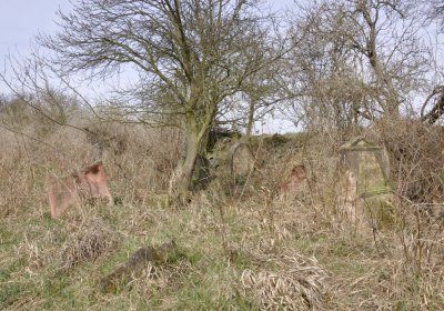 Sedláček Hugo, 2012