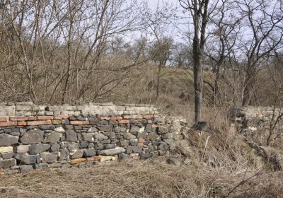 Sedláček Hugo, 2012