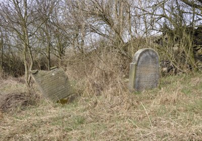 Sedláček Hugo, 2012