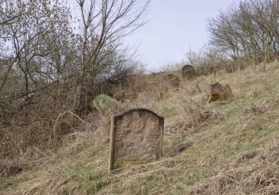 Sedláček Hugo, 2012