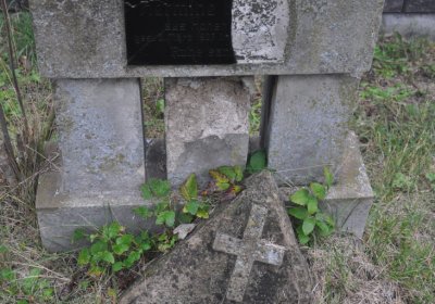 Místo, Omnium, 2020