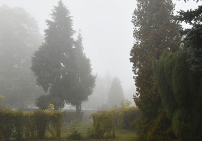 Místo, Omnium, 2020