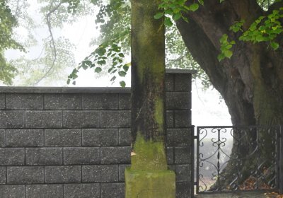 Místo, Omnium, 2020