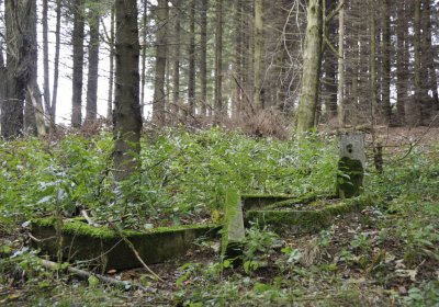 Sedláček Hugo, 2014