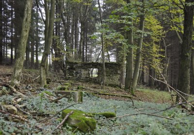 Sedláček Hugo, 2014