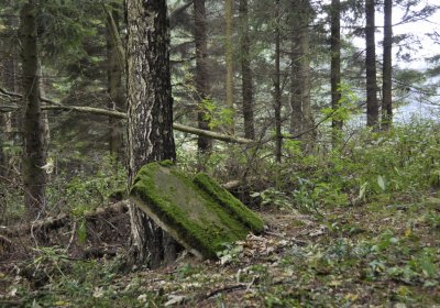 Sedláček Hugo, 2014