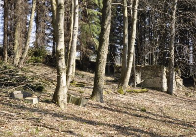 Sedláček Hugo, 2014