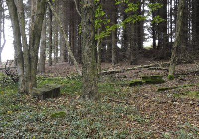 Sedláček Hugo, 2014