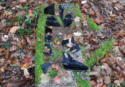 Menhartice, Omnium, 2020