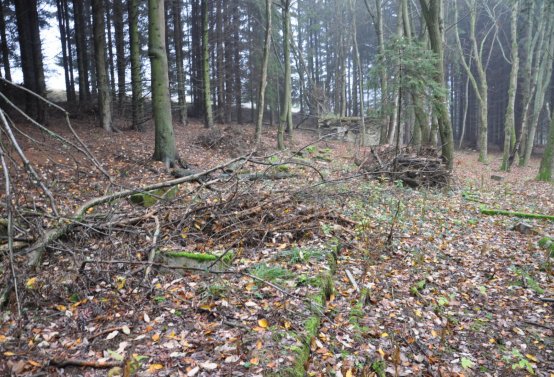 Menhartice, Omnium, 2020