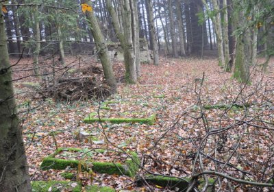 Menhartice, Omnium, 2020