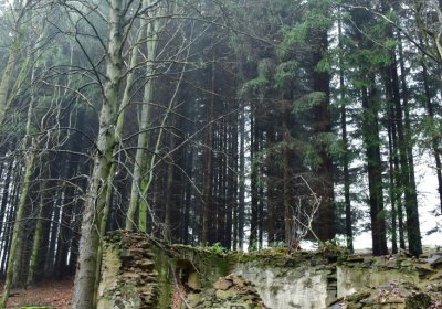 Menhartice, Omnium, 2020