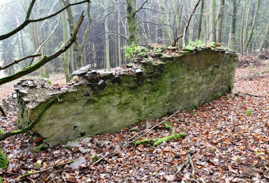 Menhartice, Omnium, 2020