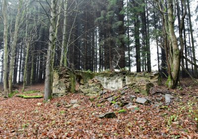 Menhartice, Omnium, 2020