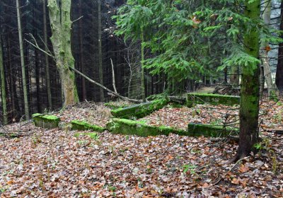 Menhartice, Omnium, 2020