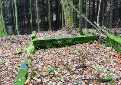 Menhartice, Omnium, 2020