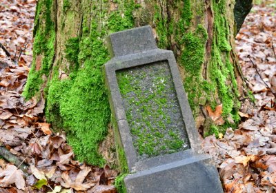 Menhartice, Omnium, 2020