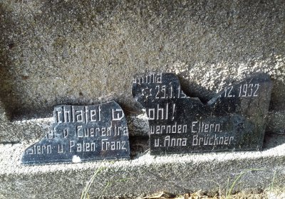 Kmínek Michal, 2019