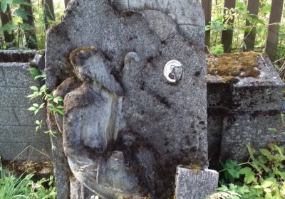 Kmínek Michal, 2019