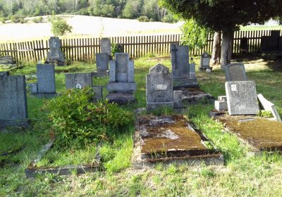 Kmínek Michal, 2019