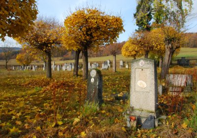 Sedláček Hugo, 2009